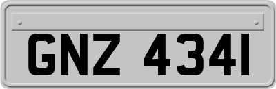 GNZ4341