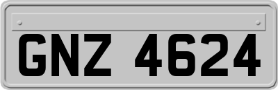 GNZ4624
