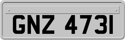 GNZ4731