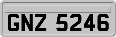 GNZ5246