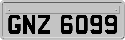 GNZ6099