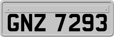 GNZ7293