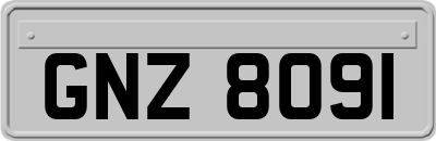 GNZ8091