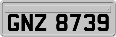 GNZ8739