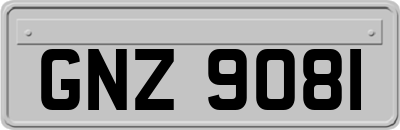 GNZ9081