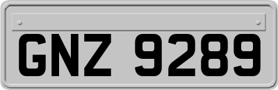 GNZ9289