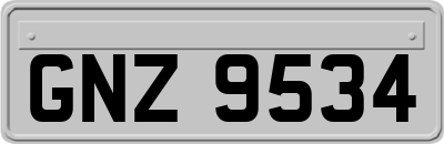 GNZ9534