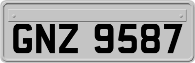 GNZ9587