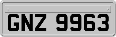 GNZ9963