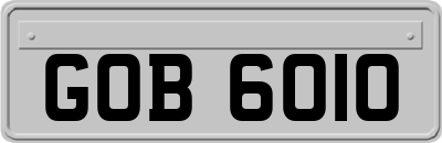 GOB6010