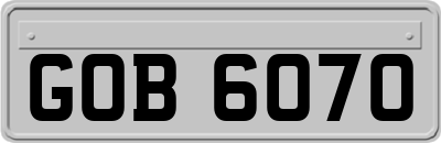 GOB6070