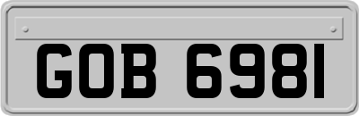 GOB6981