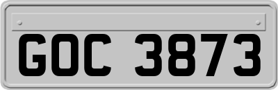 GOC3873