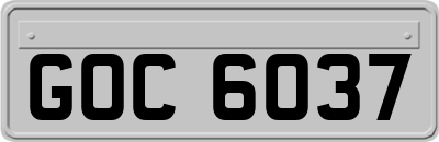 GOC6037