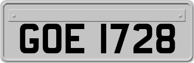 GOE1728