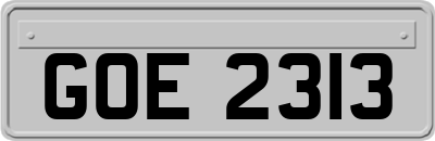 GOE2313