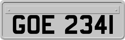 GOE2341