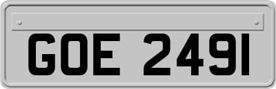 GOE2491