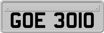 GOE3010