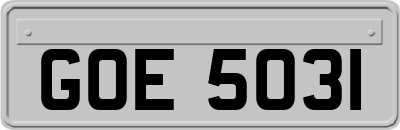 GOE5031