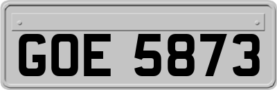 GOE5873