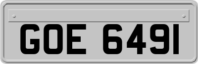 GOE6491