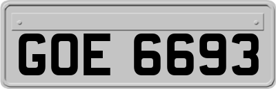 GOE6693