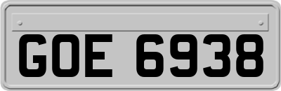 GOE6938