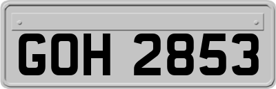 GOH2853