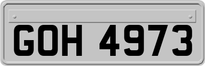 GOH4973