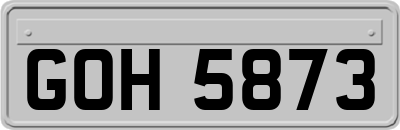 GOH5873