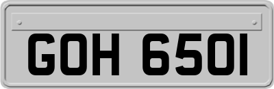 GOH6501