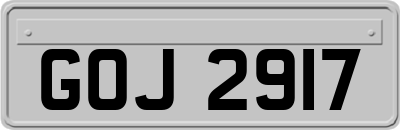 GOJ2917