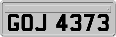 GOJ4373
