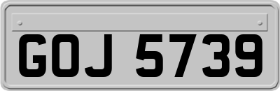 GOJ5739