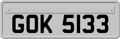 GOK5133