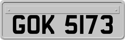 GOK5173