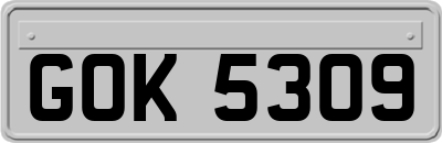 GOK5309