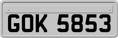 GOK5853