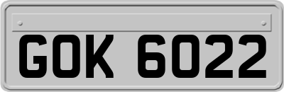 GOK6022