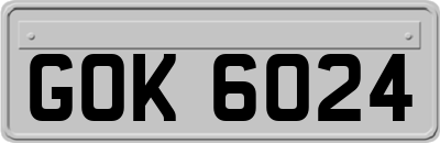 GOK6024