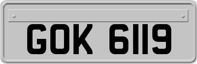 GOK6119