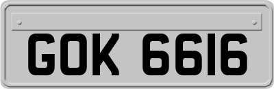 GOK6616