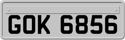 GOK6856