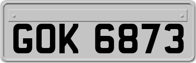 GOK6873