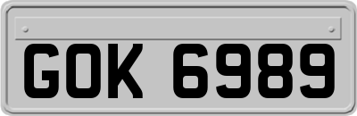 GOK6989