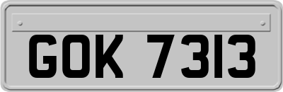 GOK7313