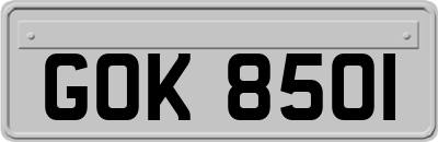 GOK8501