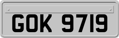 GOK9719