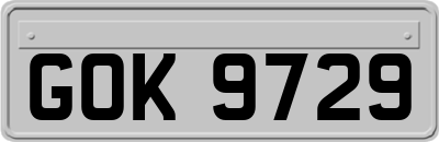 GOK9729